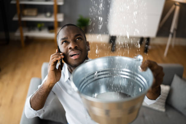 Best Water damage restoration near me  in Kayak Point, WA