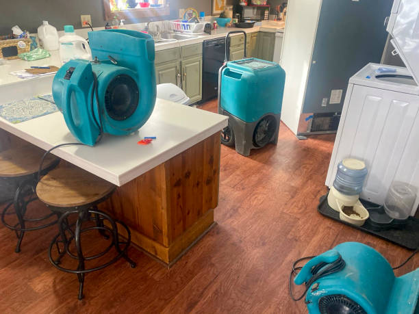 Best 24-hour water damage restoration  in Kayak Point, WA