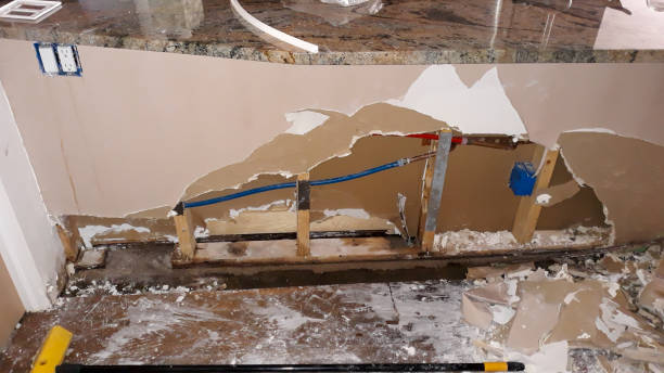 Best Water damage contractors near me  in Kayak Point, WA